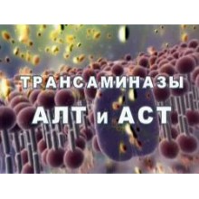 АЛТ и АСТ (трансаминазы)